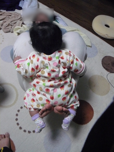 P1090464b.jpg