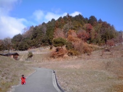 PA0_0027.JPG